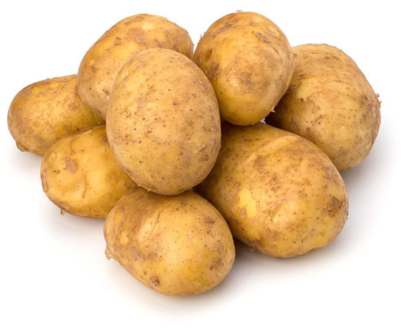 常熟土豆